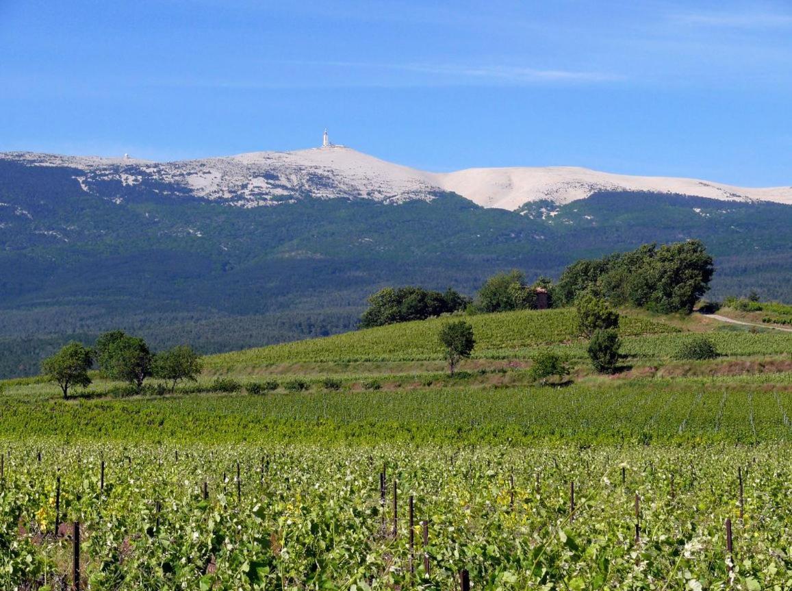 Petit Gite De Provence マザン エクステリア 写真
