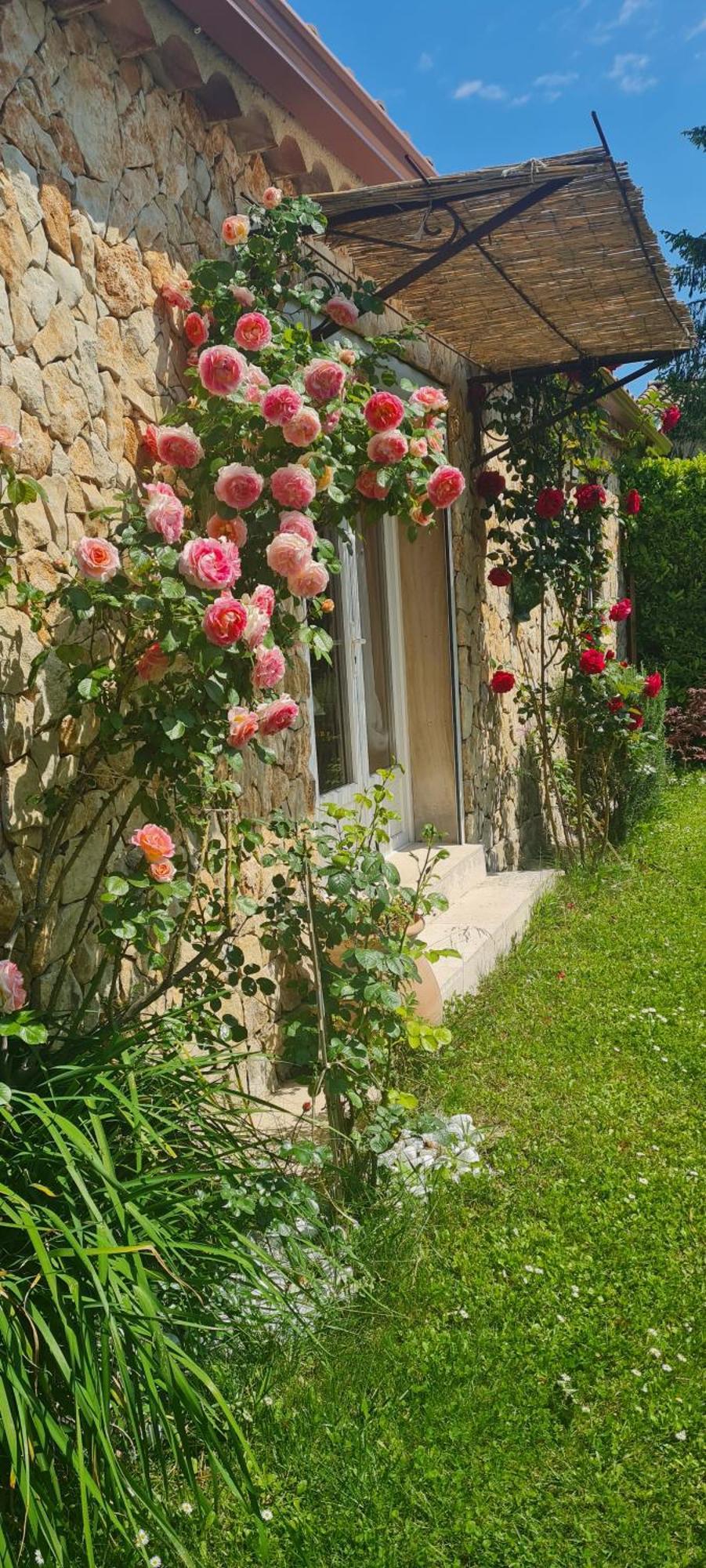 Petit Gite De Provence マザン エクステリア 写真